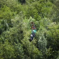 Image 22