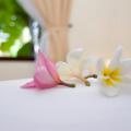 Ocean Star Resort
