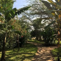 Image 15