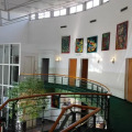 Image 12