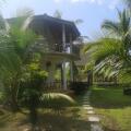 Coconut Island