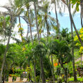 Coral View Villas