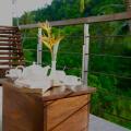 Nature Trails Boutique Hotel