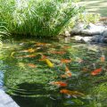 Hoang Ngoc Resort (Oriental Pearl)