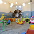 Image 21