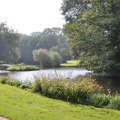 Image 36