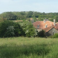 Image 13