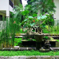 Legian Paradiso Hotel