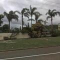 Image 13