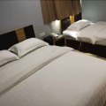 Hotel Traveller