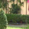 Image 20