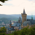 Image 21