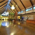 Image 31