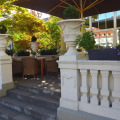 Image 20