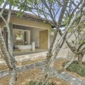 The Frangipani Tree By Edwards Collection