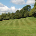 Image 14