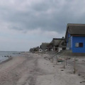 Image 14