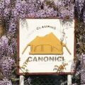 Glamping Canonici di San Marco picture