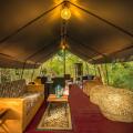 Mahoora Tented Safari Camp - Udawalawe