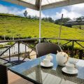 The Tea Garden