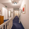 Image 15