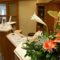 Image 15