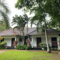 Image 23