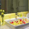 Rosaka Nha Trang Hotel