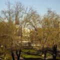 Image 14