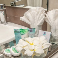 Amethyst Resort Passikuddah