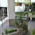 Image 15
