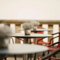 Image 13