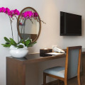 Dtx Hotel Nha Trang