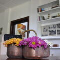 Scottish Planter Glendevon Bungalow