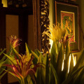 Reef Villa 