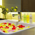Rosaka Nha Trang Hotel
