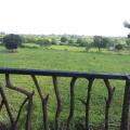 Yala Eco Tree House