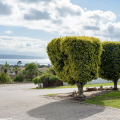 Image 32