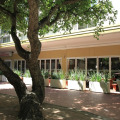 Image 31