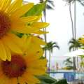 Sun & Sands Beach Hotel