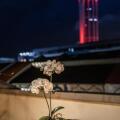Hotel Penaga