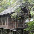 Permai Rainforest Resort