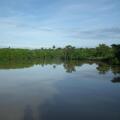 Coconut Island
