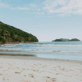Image 19