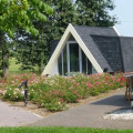 Image 19