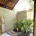 The Samata