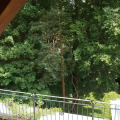 Image 23