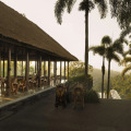 Alila Ubud
