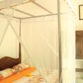 Dionis Villa