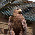 Image 34